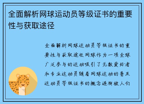 全面解析网球运动员等级证书的重要性与获取途径